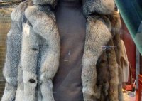Possum Fur Coats In N Z
