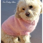 Dog Coat Knitting Pattern Pdf Free