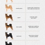 Types Of Dog Fur Coats