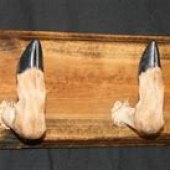 Deer Hooves Coat Rack